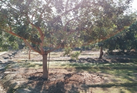 Foto 19