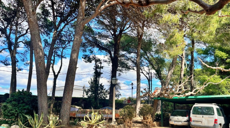 Tarragona - Tortosa - 2500m2
