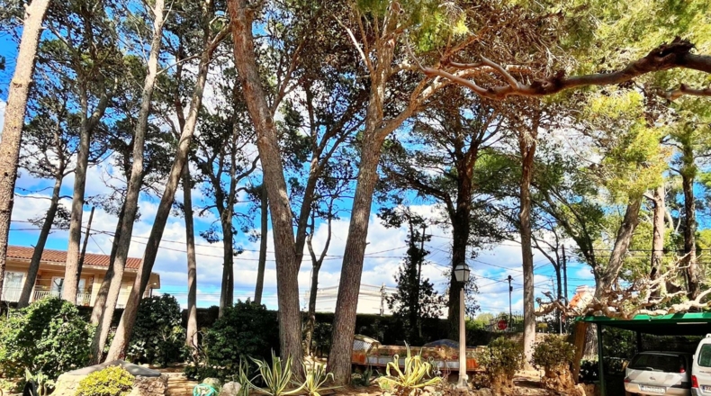 Tarragona - Tortosa - 2500m2