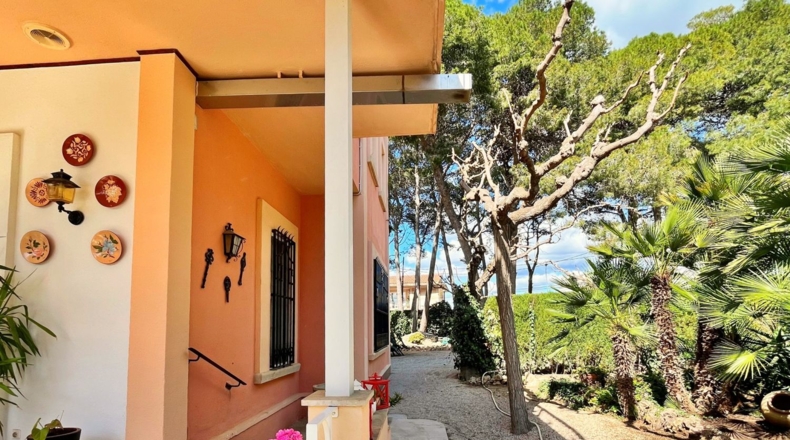 Tarragona - Tortosa - 2500m2