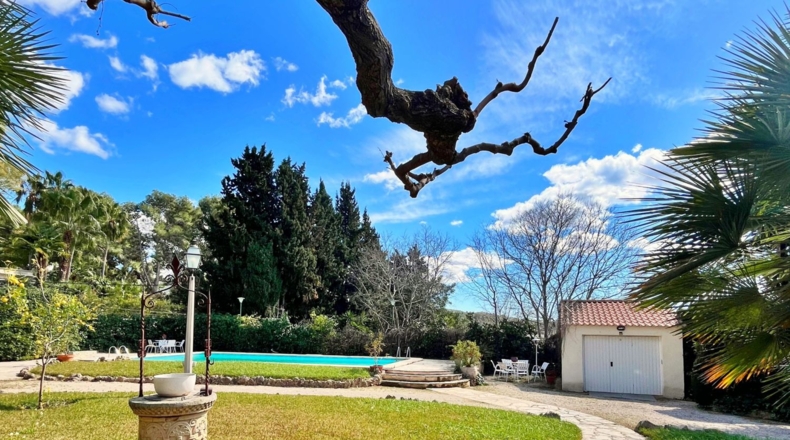 Tarragona - Tortosa - 2500m2