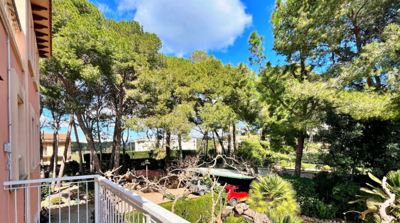 Tarragona - Tortosa - 2500m2