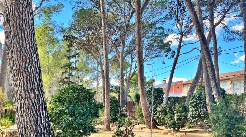 Tarragona - Tortosa - 2500m2