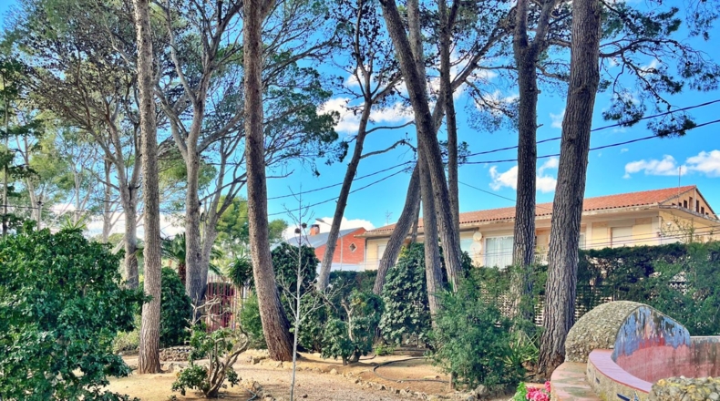 Tarragona - Tortosa - 2500m2