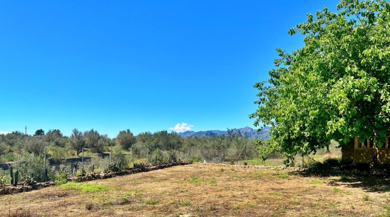 Tarragona - Roquetes - 5160m2