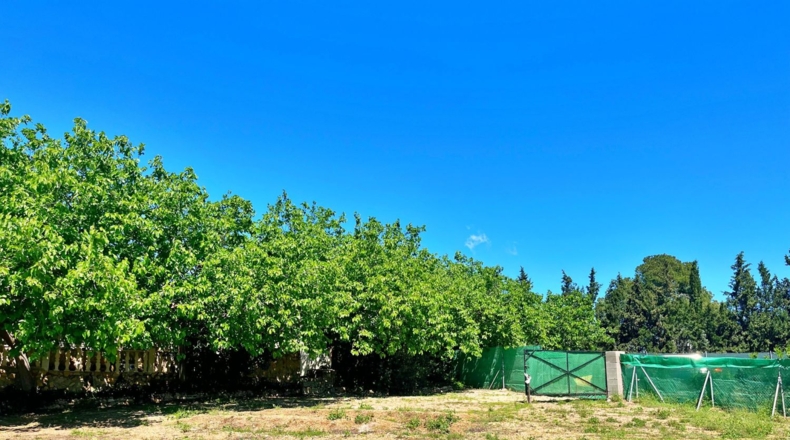 Tarragona - Roquetes - 5160m2