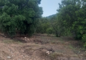 Rural estate for sale in Tivenys ref: TR233442 photo