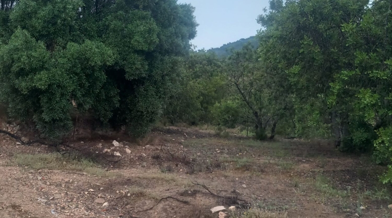 Tarragona - Tivenys - 26m2