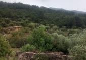 Rural estate for sale in Tivenys ref: TR233442 photo