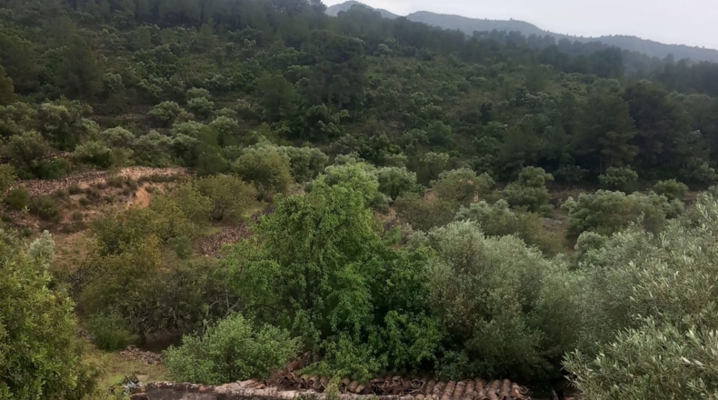 Tarragona - Tivenys - 26m2