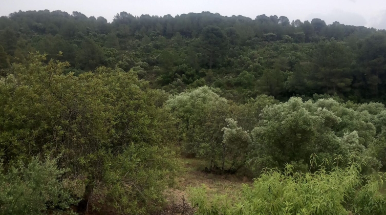 Tarragona - Tivenys - 26m2