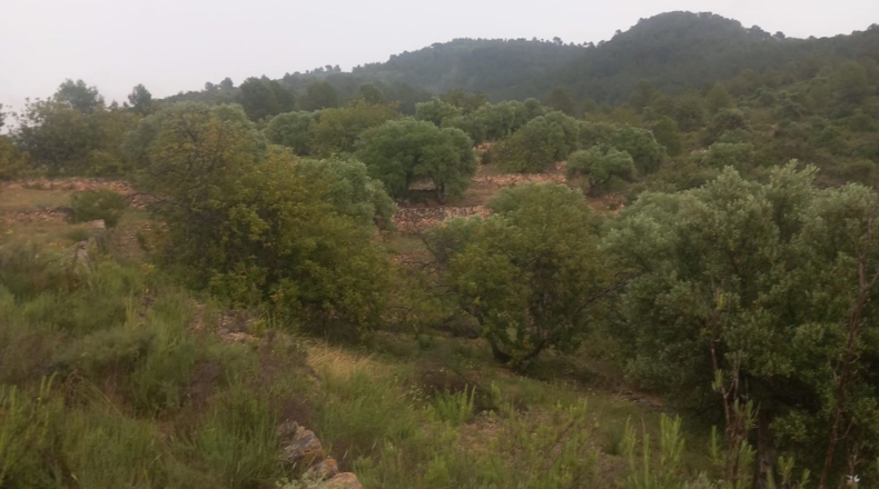 Tarragona - Tivenys - 26m2