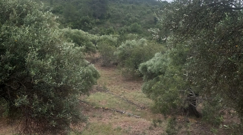 Tarragona - Tivenys - 26m2