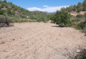 Non-developable land for sale in Tivenys ref: TR234118 photo