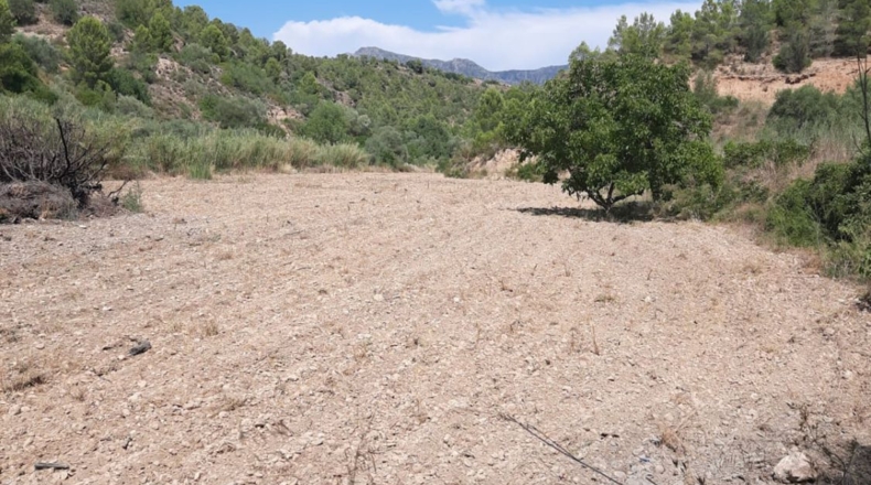 Tarragona - Tivenys - 7020m2