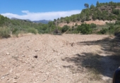 Non-developable land for sale in Tivenys ref: TR234118 photo