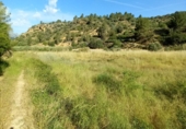 Non-developable land for sale in Tivenys ref: TR234118 photo
