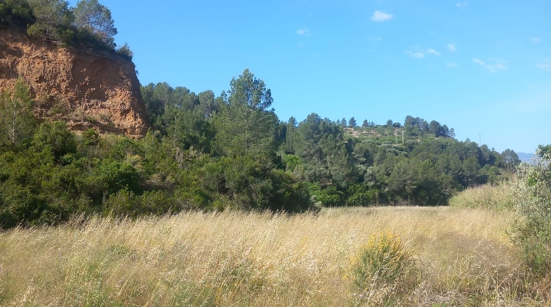 Tarragona - Tivenys - 7020m2