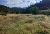 Non-developable land for sale in Tivenys ref: TR234118 photo