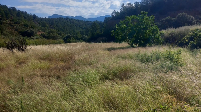 Tarragona - Tivenys - 7020m2