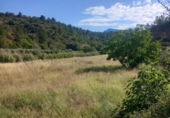 Non-developable land for sale in Tivenys ref: TR234118 photo