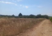 Terreny no urbanitzable en venda a Tivenys ref.: TR254742 foto