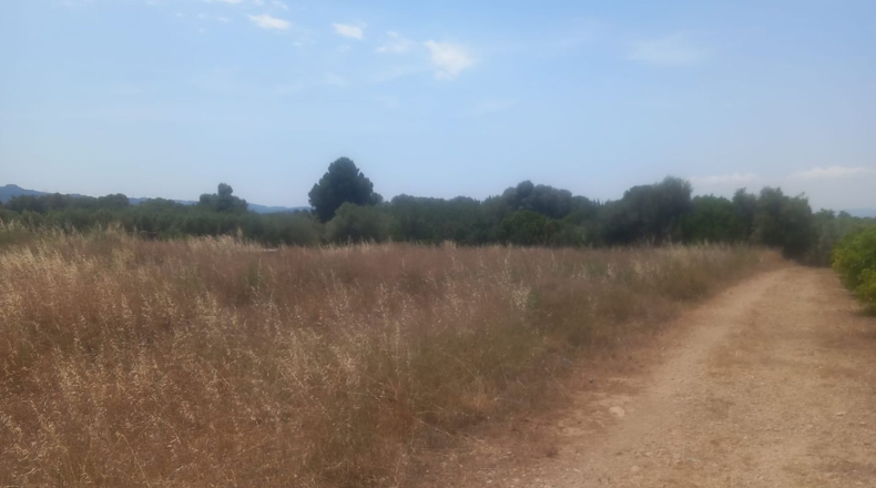 Tarragona - Tivenys - 5047m2