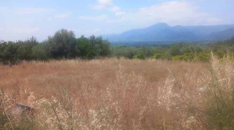 Tarragona - Tivenys - 5047m2