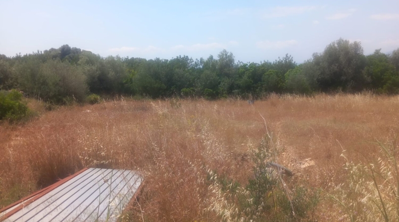 Tarragona - Tivenys - 5047m2