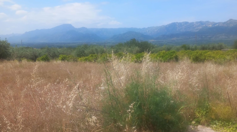 Tarragona - Tivenys - 5047m2