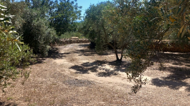 Tarragona - Tivenys - 5167m2