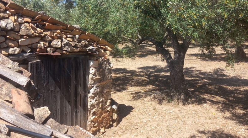 Tarragona - Tivenys - 5167m2