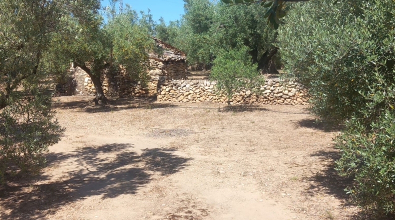 Tarragona - Tivenys - 5167m2