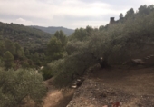 Casa de camp amb terreny en venda a Tortosa ref.: TR15734 foto