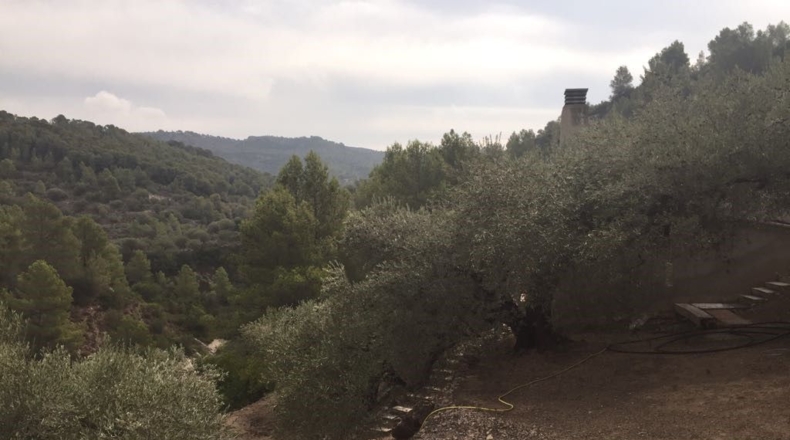 Tarragona - Tortosa - 20000m2