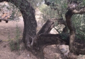 Casa de camp amb terreny en venda a Tortosa ref.: TR15734 foto