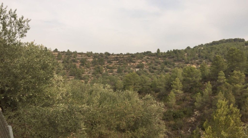 Tarragona - Tortosa - 20000m2