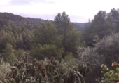 Casa de camp amb terreny en venda a Tortosa ref.: TR15734 foto