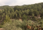 Casa de camp amb terreny en venda a Tortosa ref.: TR15734 foto