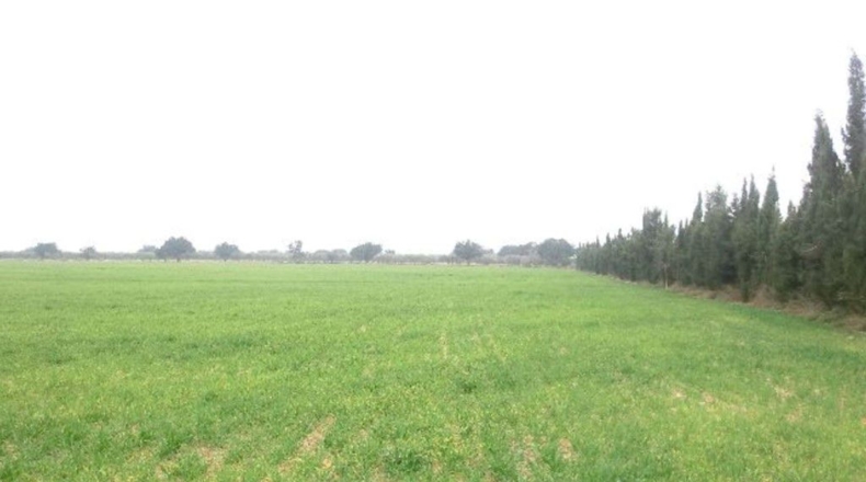 Tarragona - Tortosa - 70000m2
