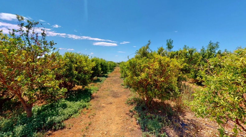 Tarragona - Tortosa - 90000m2