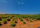Xalet independent amb terreny en venda a Tortosa ref.: TR50017 foto