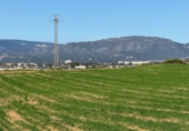 Finca rústica en venda a Puigpelat ref.: TR256136 foto