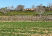 Finca rústica en venda a Puigpelat ref.: TR256136 foto