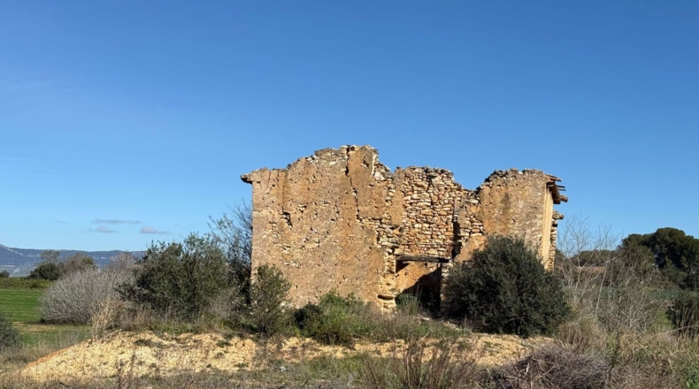 Tarragona - Puigpelat - 44199m2