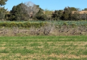 Finca rústica en venda a Puigpelat ref.: TR256136 foto