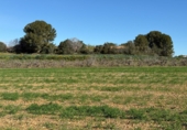 Finca rústica en venda a Puigpelat ref.: TR256136 foto