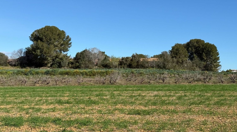 Tarragona - Puigpelat - 44199m2
