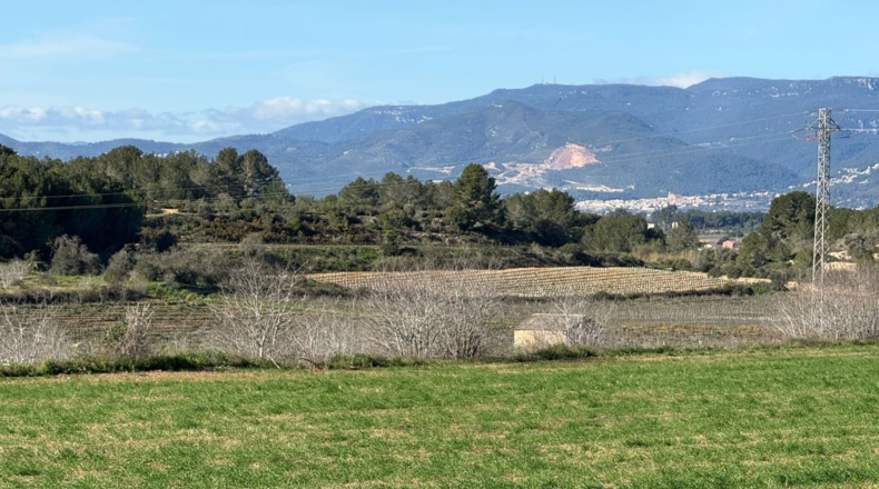Tarragona - Puigpelat - 44199m2