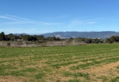 Finca rústica en venda a Puigpelat ref.: TR256136 foto